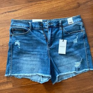 Judy Blue Jean shorts Size XL Brionna